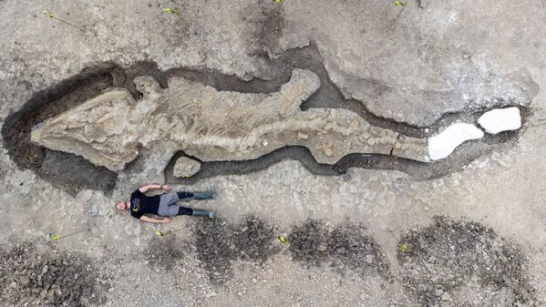 Un hombre posa junto a los restos fósiles del ictiosaurio más grande jamás encontrado en Rutland Water, Reino Unido. - Sputnik Mundo