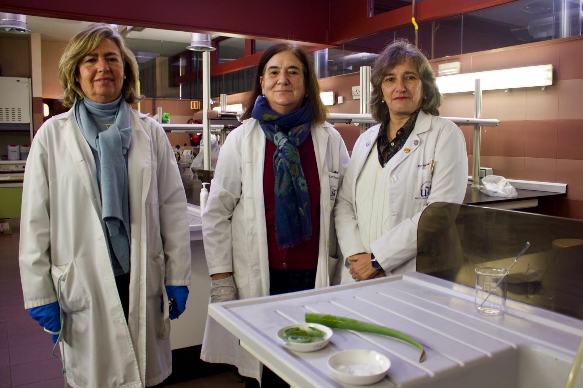 Las investigadoras de la Universidad de Sevilla, Mª Ángeles Fernández Arche (i), Dolores García Giménez y Ana Quílez Guerrero (d) - Sputnik Mundo, 1920, 20.01.2022