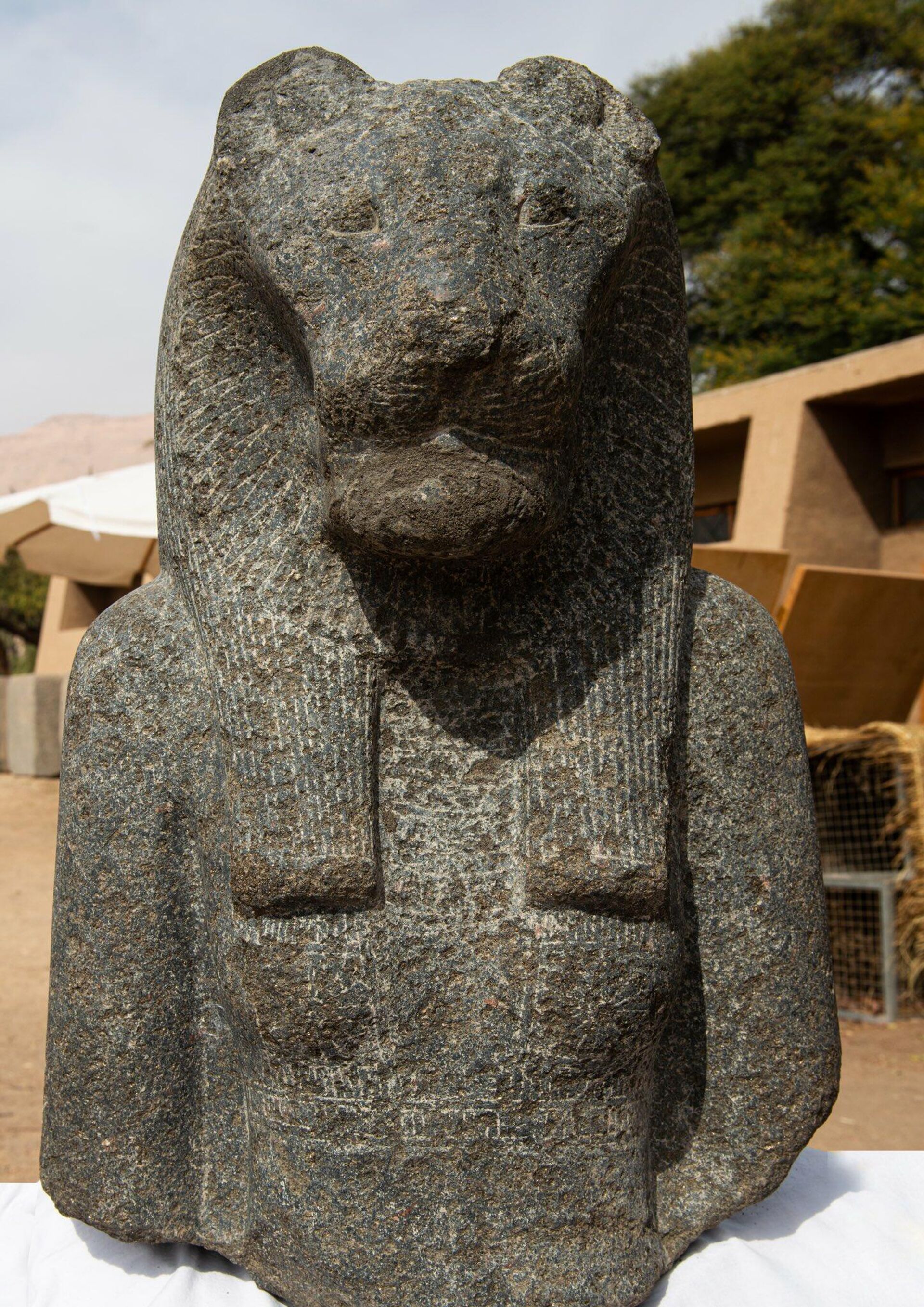 Una estátua de Sejmet, la diosa de la guerra y de la venganza, encontrada recientemente en Luxor - Sputnik Mundo, 1920, 23.01.2022