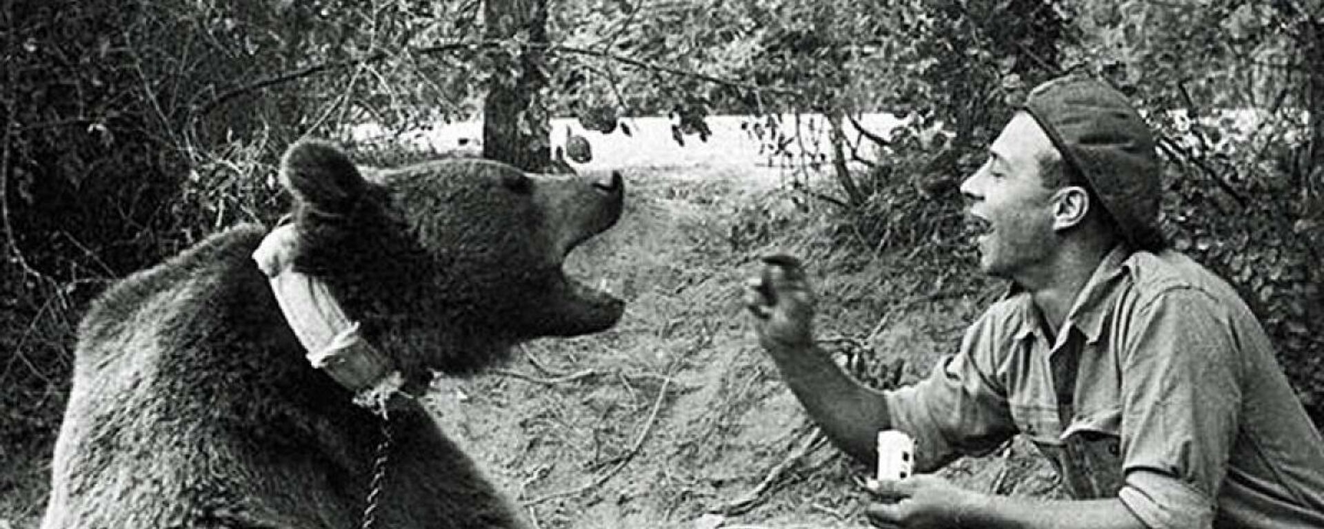 El oso militar del ejército polaco. - Sputnik Mundo, 1920, 31.01.2022