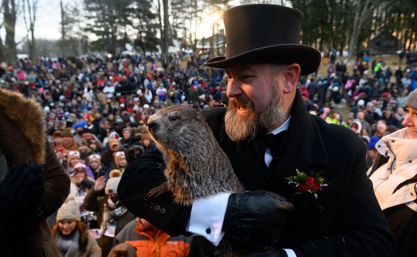 La marmota Phil predijo el final de la primavera durante la 136 celebración anual del Día de la Marmota el 2 de febrero de 2022 en el poblado de Punxsutawney (Pensilvania). - Sputnik Mundo