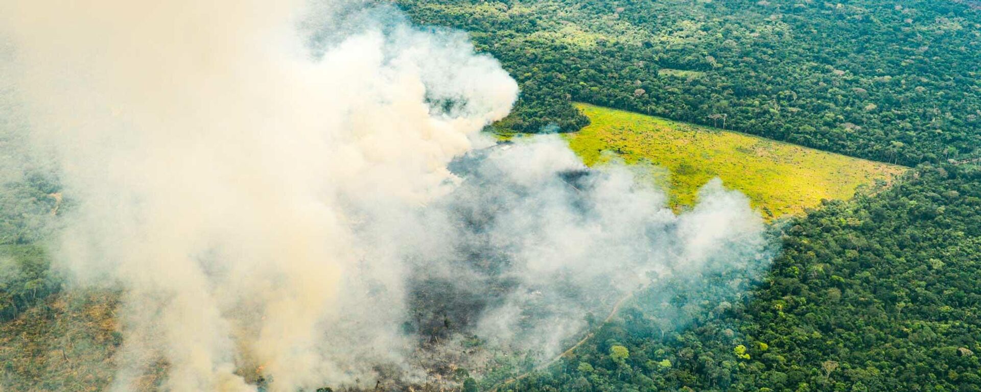 El Ministerio de Ambiente habla de 15.000 hectáreas de bosques perdidas por el fuego - Sputnik Mundo, 1920, 10.02.2022