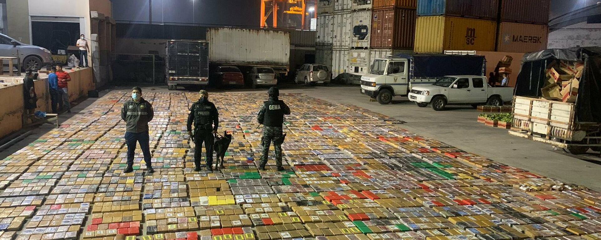 La Policía de Ecuador decomisa 7 toneladas de cocaína - Sputnik Mundo, 1920, 14.02.2022