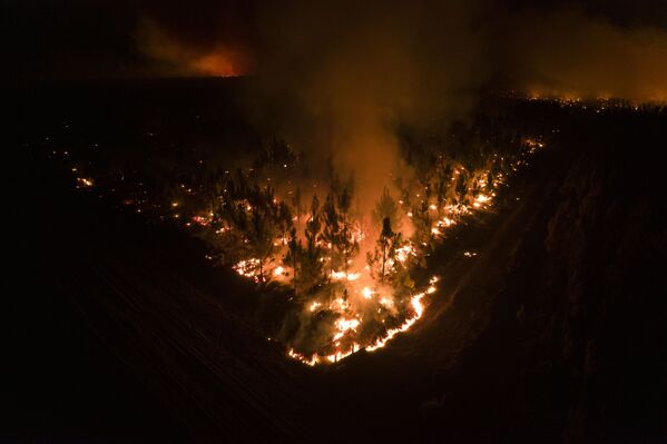Bosque en llamas en la provincia de Corrientes. - Sputnik Mundo