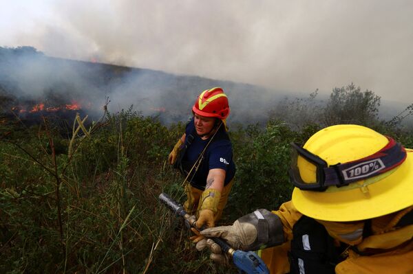 También hay muchas plantaciones de mate en Corrientes.En la foto: extinción de incendios naturales en la provincia de Corrientes. - Sputnik Mundo