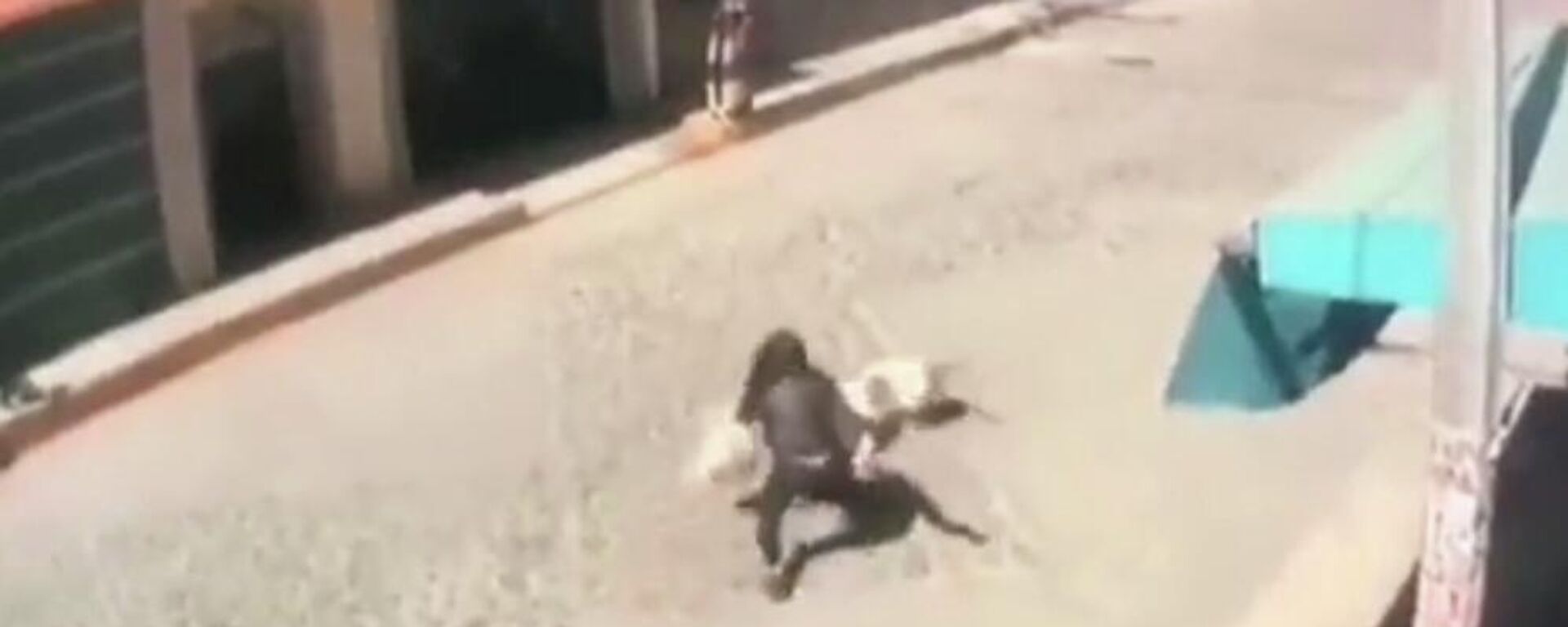 Una niña es atacada por un perro en México - Sputnik Mundo, 1920, 21.02.2022