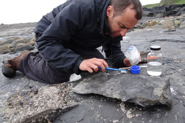 El paleontólogo de la Universidad de Edimburgo Steve Brusatte trata cuidadosamente parte del fósil del reptil volador. - Sputnik Mundo