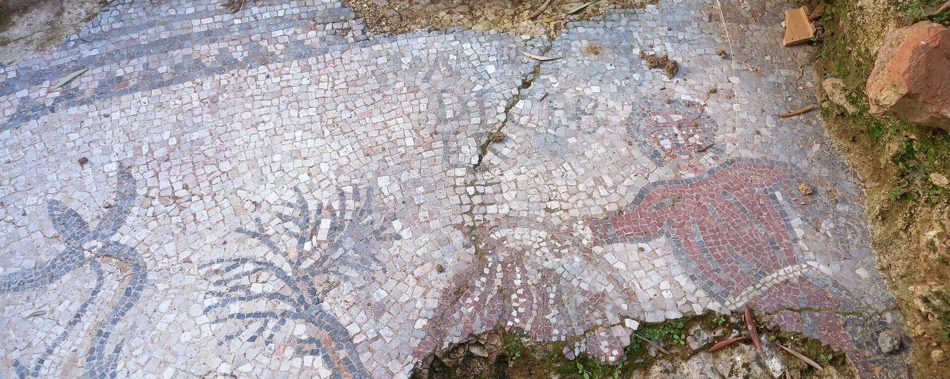 Imagen de una parte del mosaico romano hallado en un olivar de Adamuz.
 - Sputnik Mundo, 1920, 24.02.2022