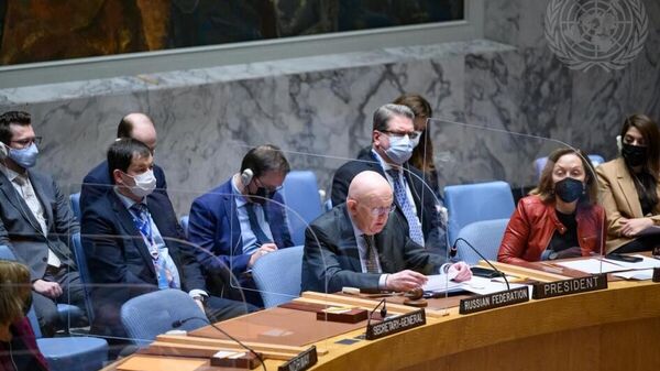 Sesión del Consejo de Seguridad de las Naciones Unidas. - Sputnik Mundo