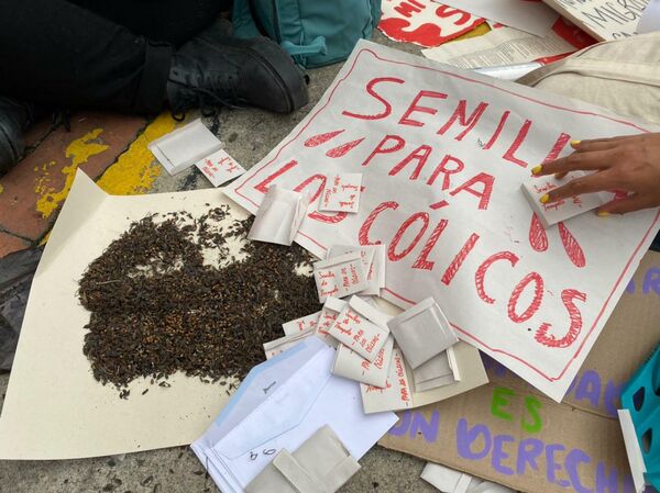 Durante la marcha, que salió desde el Centro de Memoria, Paz y Reconciliación, un grupo de mujeres regaló bolsitas de semillas para los cólicos menstruales. - Sputnik Mundo