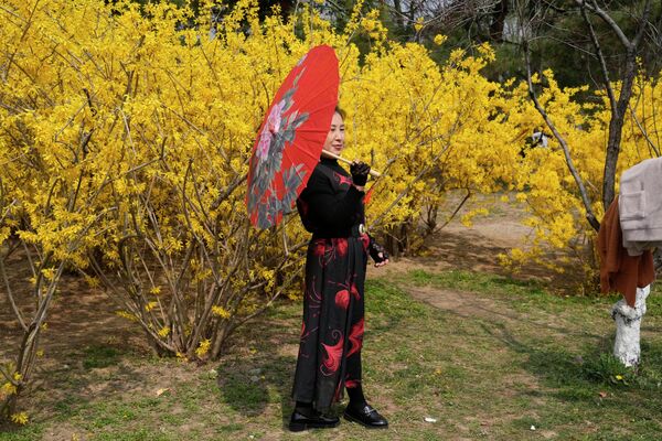 Una mujer disfruta de las flores durante las fiestas de Qingming en Pekín. - Sputnik Mundo