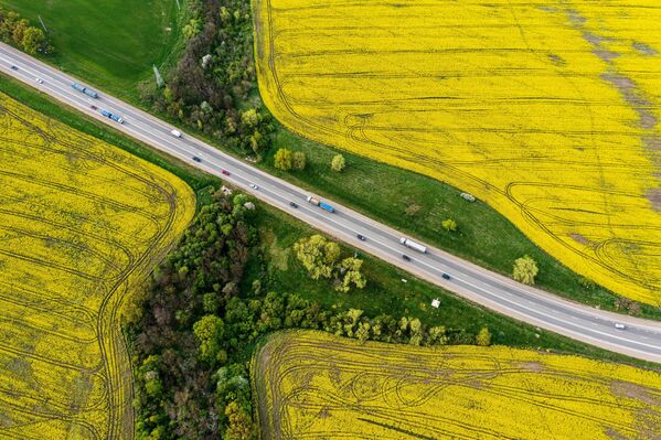 La carretera Krasnodar-Novorosisk y los campos de colza en el territorio ruso de Krasnodar. La colza o canola se utiliza ampliamente como una fuente de aceite y proteínas para la industria alimentaria y medicinal. - Sputnik Mundo