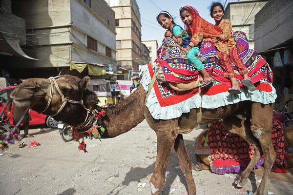 Unas niñas montan en camello durante la fiesta de Eid al-Fitr que marca el final del mes sagrado del Ramadán, en Karachi, Pakistán. - Sputnik Mundo