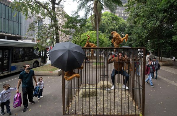 Un visitante imita a un animal en una jaula al subir a una instalación del artista Eduardo Srur en Sao Paulo, Brasil. - Sputnik Mundo