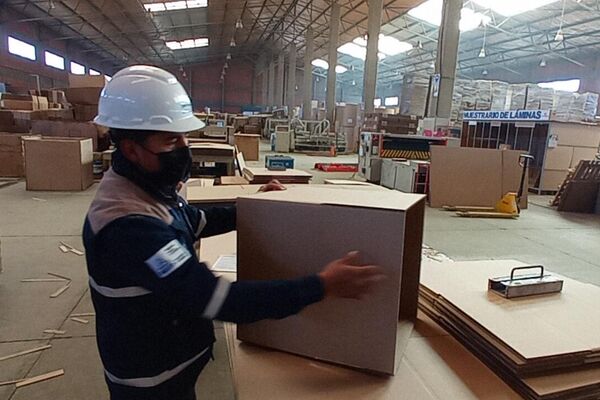 Cartonbol, empresa estatal boliviana que fabrica, láminas, cajas y muebles de cartón - Sputnik Mundo