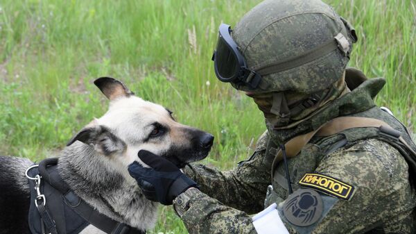 Un militar ruso con un perro en Ucrania - Sputnik Mundo