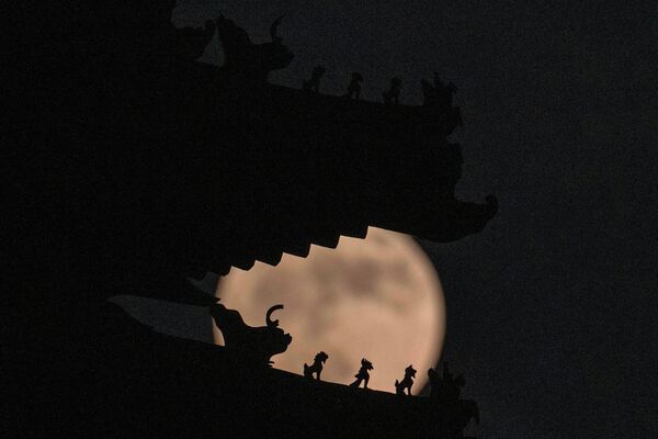 Elementos decorativos en el techo de la torre de la Ciudad Prohibida en Pekín, China. En el fondo, la luna de fresa. - Sputnik Mundo