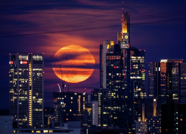 La luna de fresa en el cielo sobre el centro de negocios de Fráncfort, Alemania. - Sputnik Mundo