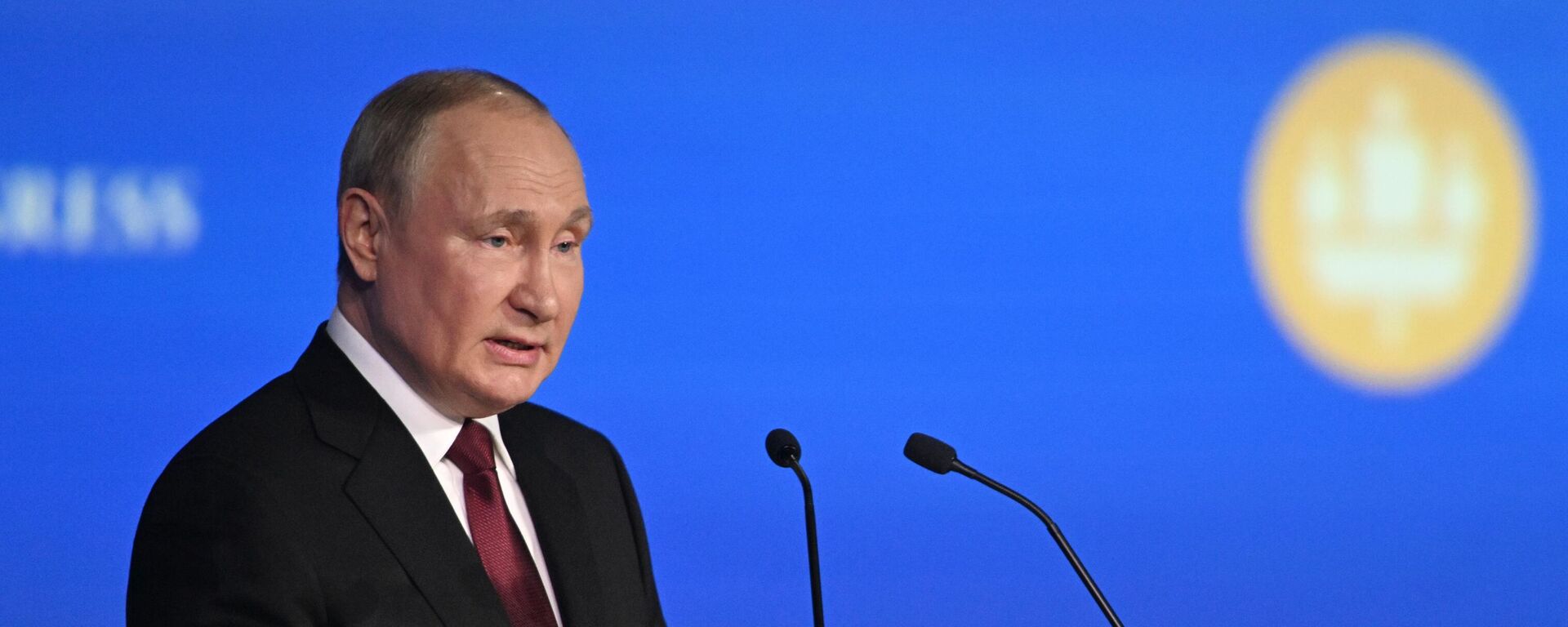 Vladímir Putin, presidente de Rusia, durante el Foro Económico Internacional de San Petersburgo (SPIEF), el 17 de junio del 2022 - Sputnik Mundo, 1920, 17.06.2022