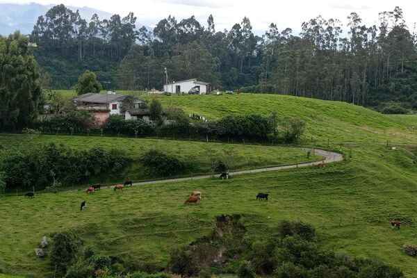 Hacienda San Antonio de Valencia, donde viven 150 familias campesinas de Ecuador - Sputnik Mundo