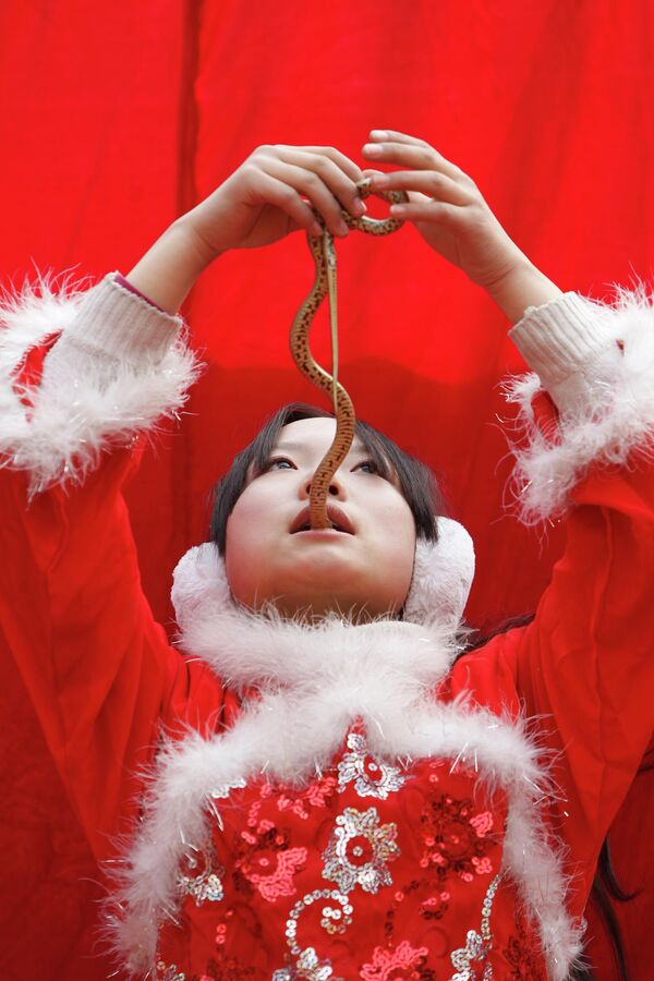 Una niña se traga una parte de una serpiente mientras actúa en un espectáculo en Pekín durante las celebraciones del Año Nuevo chino, en 2011. - Sputnik Mundo