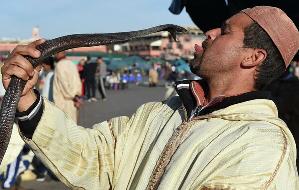 Un encantador de serpientes actúa en la plaza Jamaa El-Fna de Marrakech, Marruecos. - Sputnik Mundo