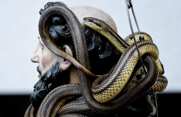 Una estatua de Santo Domingo envuelta en serpientes vivas durante la procesión anual en Cocullo, región de los Abruzos, Italia. - Sputnik Mundo