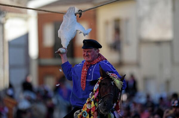 Un hombre cabalga e intenta arrancarle la cabeza a un ganso durante las fiestas de Santiago, en el pueblo de El Carpio de Tajo, España. 25 de julio del 2022. - Sputnik Mundo