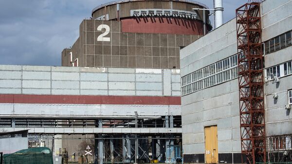 La planta nuclear de Zaporiyia - Sputnik Mundo