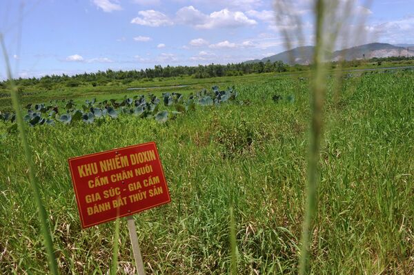 Un letrero que dice &quot;área contaminada con dioxinas. Ganadería, aves de corral y pesca prohibidas&quot; en Ho Sen, cerca del aeropuerto de Da Nang, donde estaba una base aérea estadounidense durante la guerra. - Sputnik Mundo