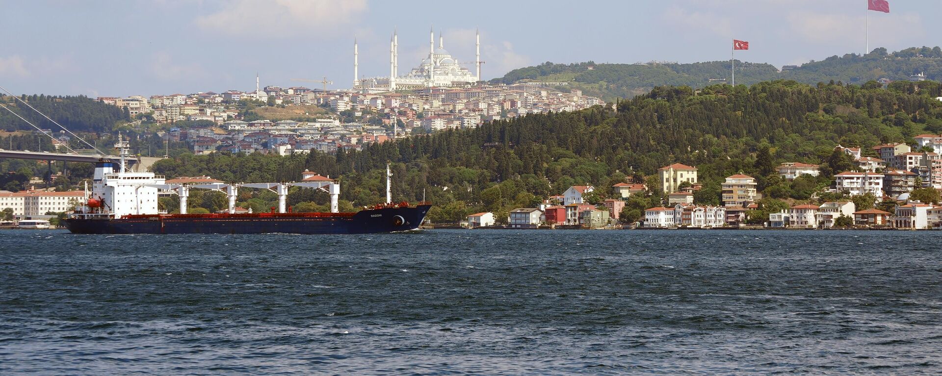 Un buque que llega con grano ucraniano en Estambul - Sputnik Mundo, 1920, 17.07.2023