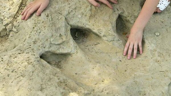 Huella de dinosaurio hallada en un parque de Texas - Sputnik Mundo