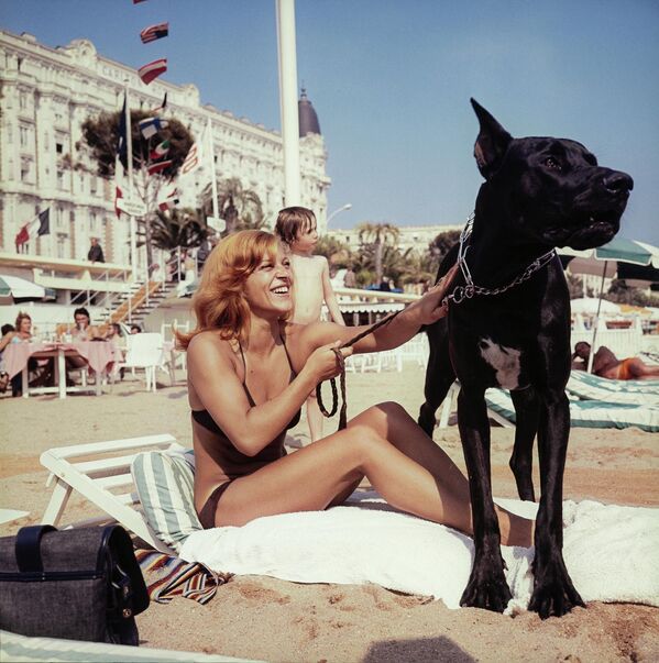 La cantante francesa Nicoletta, popular en la segunda mitad del siglo XX, con su perro Titus en la playa de Cannes durante el 14º Festival Internacional de Cine de Cannes, en 1961. - Sputnik Mundo