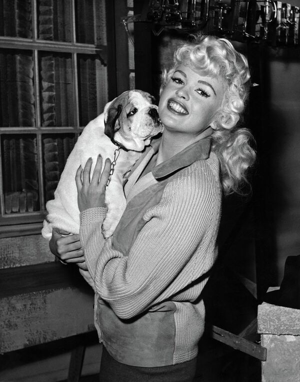 Símbolo sexual de los años cincuenta, la famosa actriz estadounidense Jayne Mansfield con un cachorro de bulldog de 5 meses llamado Challenge, que le fue regalado durante el rodaje de El reto, en los estudios Twickenham de Londres, en 1959. - Sputnik Mundo