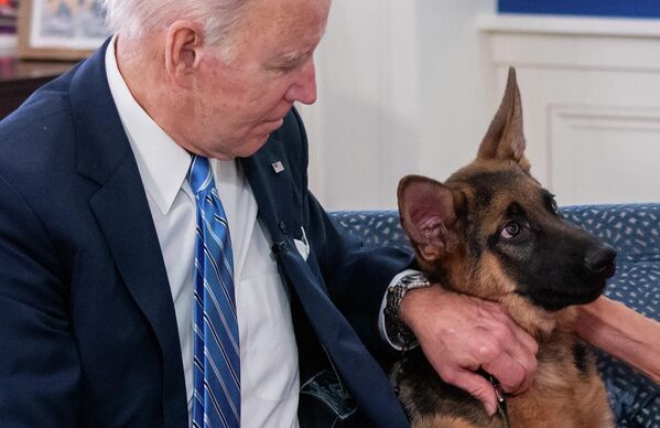 El presidente de EEUU, Joe Biden, y su perro Commander en la Casa Blanca de Washington en 2021. - Sputnik Mundo