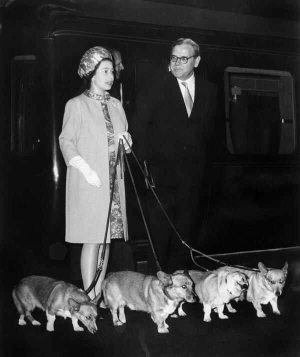 La Reina Isabel II del Reino Unido con cuatro corgis en la estación de tren de King&#x27;s Cross, en Londres, en 1969. - Sputnik Mundo