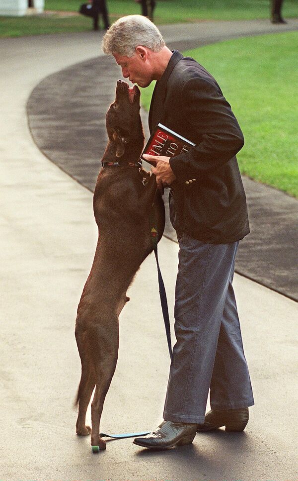 El 42 presidente de EEUU, Bill Clinton, con su perro Buddy en la Casa Blanca adonde llegó para consultar con funcionarios del Departamento de Estado sobre los atentados contra las embajadas estadounidenses en Kenia y Tanzania, en 1998. - Sputnik Mundo
