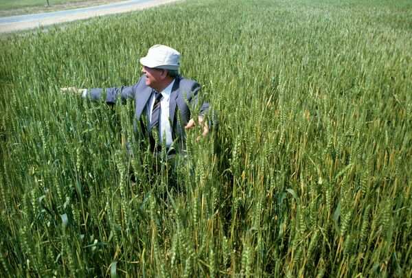 A partir de los 13 años, Mijaíl compaginó sus estudios con el trabajo en una estación de tractores y maquinaria, lo que no le impidió destacar en sus estudios. En 1949, Gorbachov fue condecorado con la Orden de la Bandera Roja del Trabajo por su ardua labor en la recolección de cereales, y un año después se convirtió en candidato al PCUS.En la foto: el presidente de la URSS, Mijaíl Gorbachov, durante una visita en Kazajstán en junio de 1991. - Sputnik Mundo