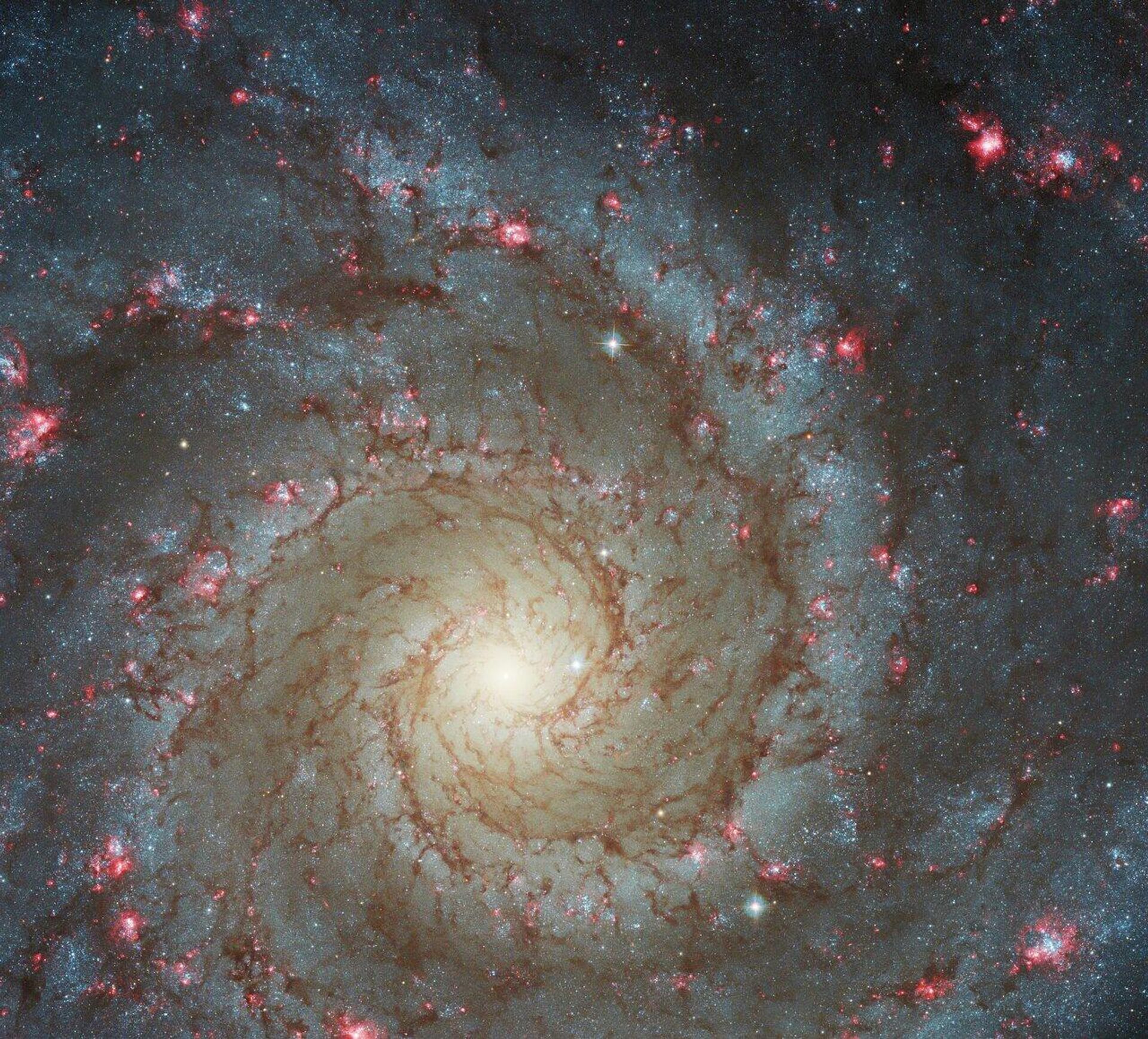 La imagen de la Galaxia Fantasma tomada por el telescopio Hubble - Sputnik Mundo, 1920, 01.09.2022