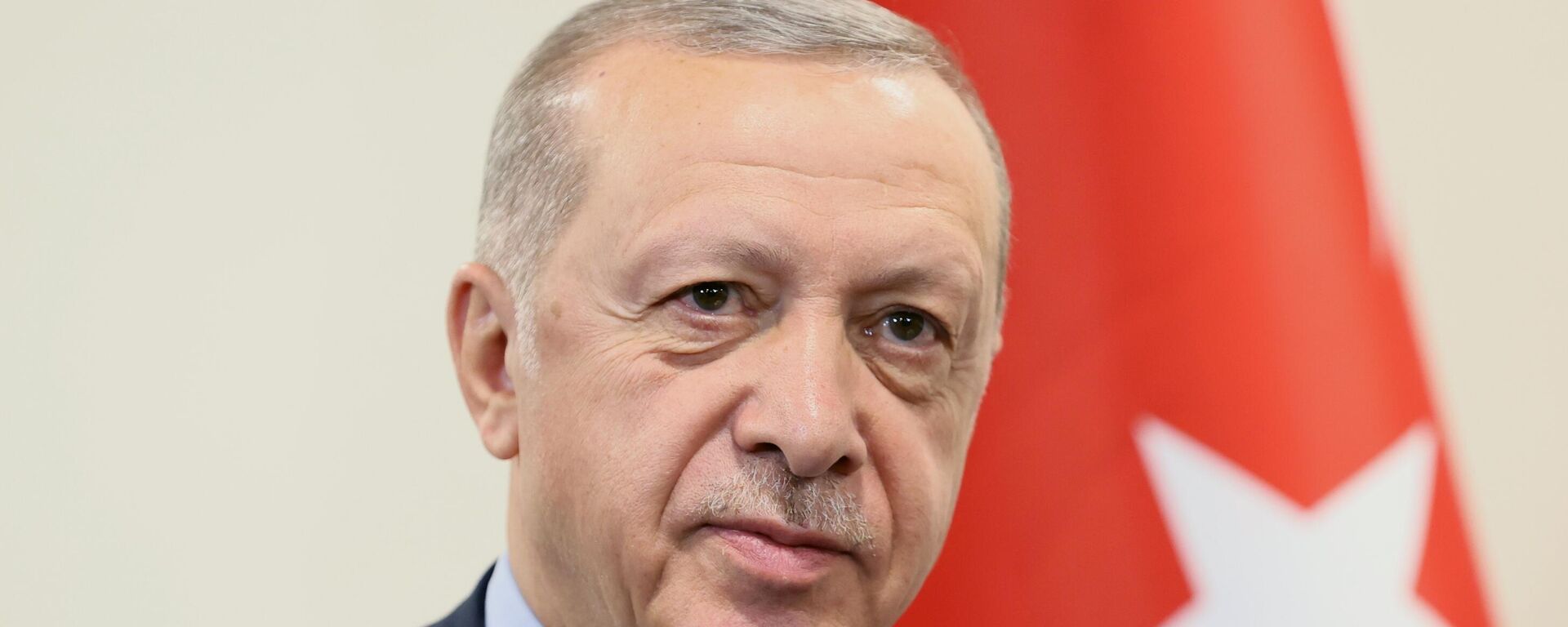 El presidente de Turquía, Recep Tayyip Erdogan - Sputnik Mundo, 1920, 02.09.2022