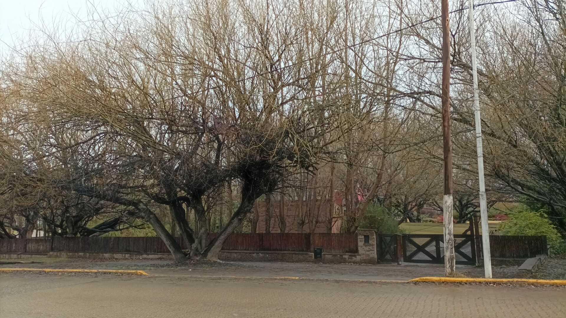 Exterior de la vivienda de Cristina Fernández de Kirchner en El Calafate, provincia de Santa Cruz - Sputnik Mundo, 1920, 05.09.2022