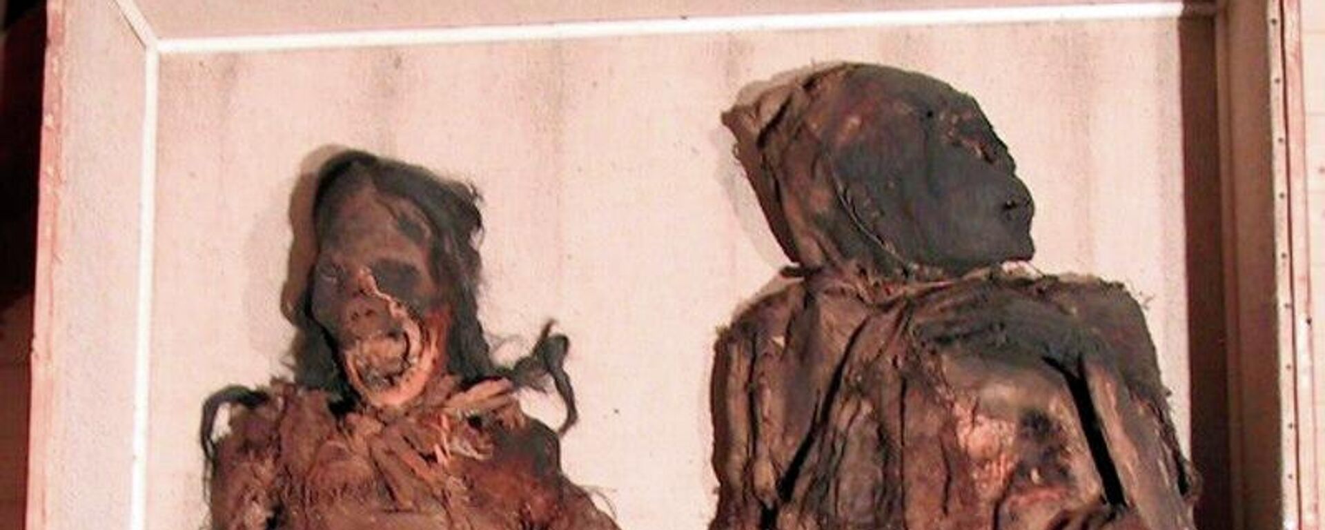 Las momias de Delémont - Sputnik Mundo, 1920, 11.09.2022