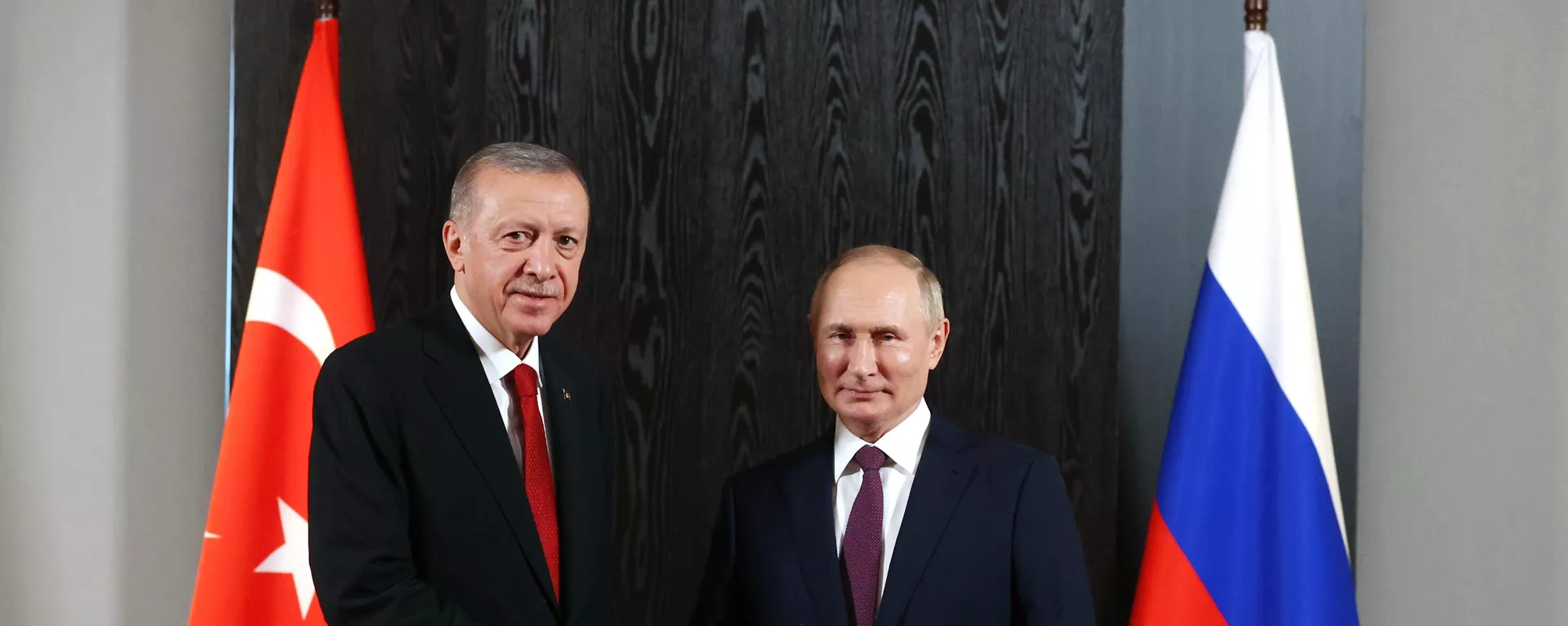 El presidente turco, Recep Tayyip Erdogan, y el presidente ruso, Vladímir Putin - Sputnik Mundo, 1920, 03.07.2024