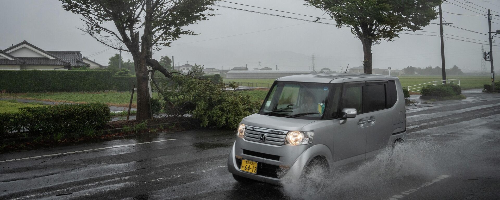 Un coche pasa junto a un árbol caído durante la aproximación del tifón Nanmadol en Izumi, prefectura de Kagoshima, Japón - Sputnik Mundo, 1920, 19.09.2022