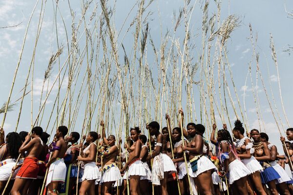 Jóvenes bailan la danza de la doncellas durante el ritual anual Umkhosi Womhlanga en el que solteras vírgenes de la etnia suazi se presentan ante el rey de Suazilandia. - Sputnik Mundo