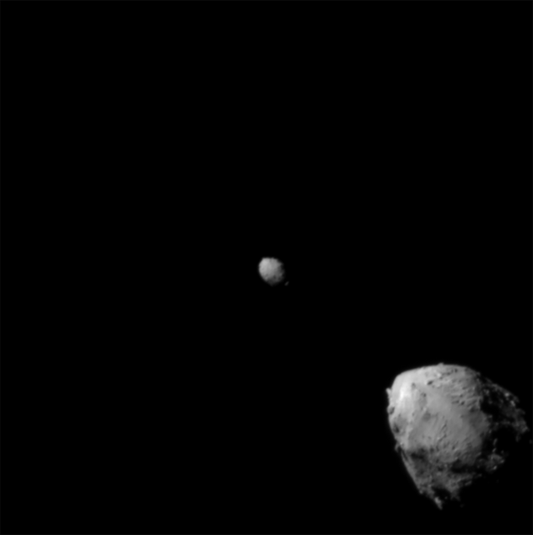 Según explicaron en la NASA, ahora la órbita de Dimorphos —que gira alrededor de otro asteroide más grande, Didymos (en la parte superior izquierda de la foto)— debería desviarse en una fracción de un 1%.En la foto: el asteroide principal Didymos (arriba a la izquierda) y su luna Dimorphs unos 2,5 minutos antes del impacto. La imagen se tomó desde una distancia de unos 920 kilómetros y es la última en la que caben los dos asteroides. El Didymos tiene un diámetro de unos 780 metros, mientras que el Dimorphos mide unos 160. - Sputnik Mundo