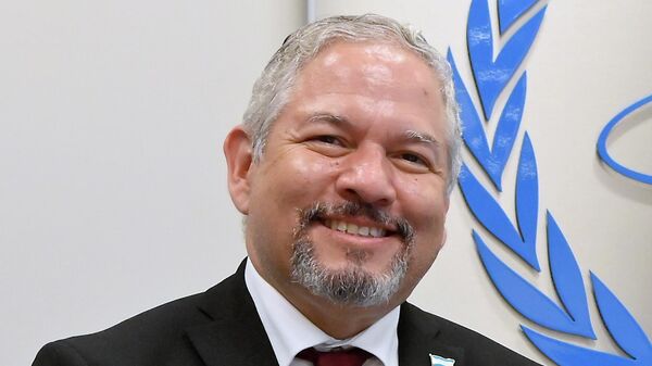 El Secretario de Relaciones Exteriores y Cooperación Internacional de Honduras, Enrique Reina - Sputnik Mundo