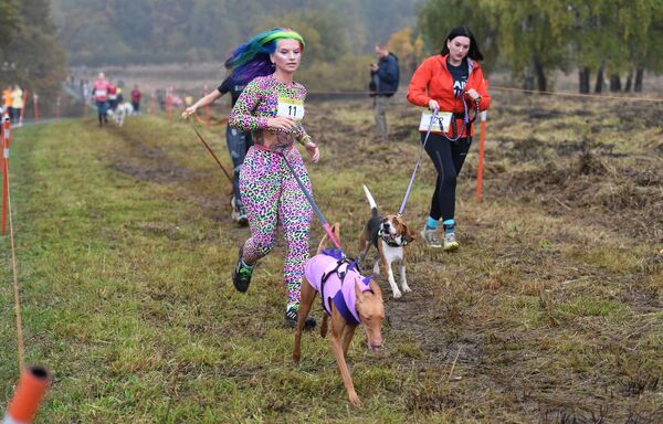 Los participantes de la maratón de campo Fast Dog en el parque histórico-natural del bosque Bitsevski en Moscú, Rusia. - Sputnik Mundo
