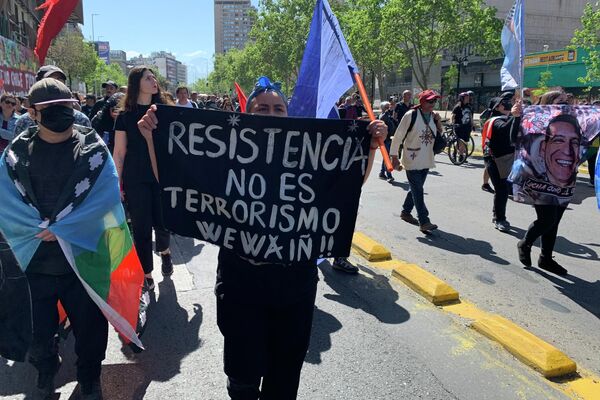 Manifestantes con una bandera que dice Resistencia no es terrorismo - Sputnik Mundo
