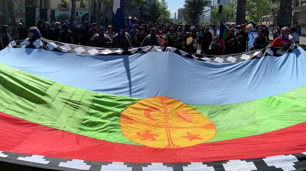 Manifestantes con la bandera mapuche - Sputnik Mundo